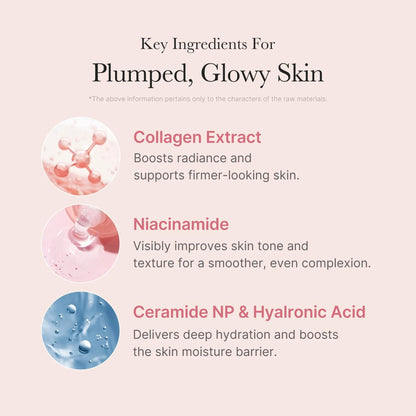 Key ingredients for plumped, glowy skin with images and descriptions on a pink background