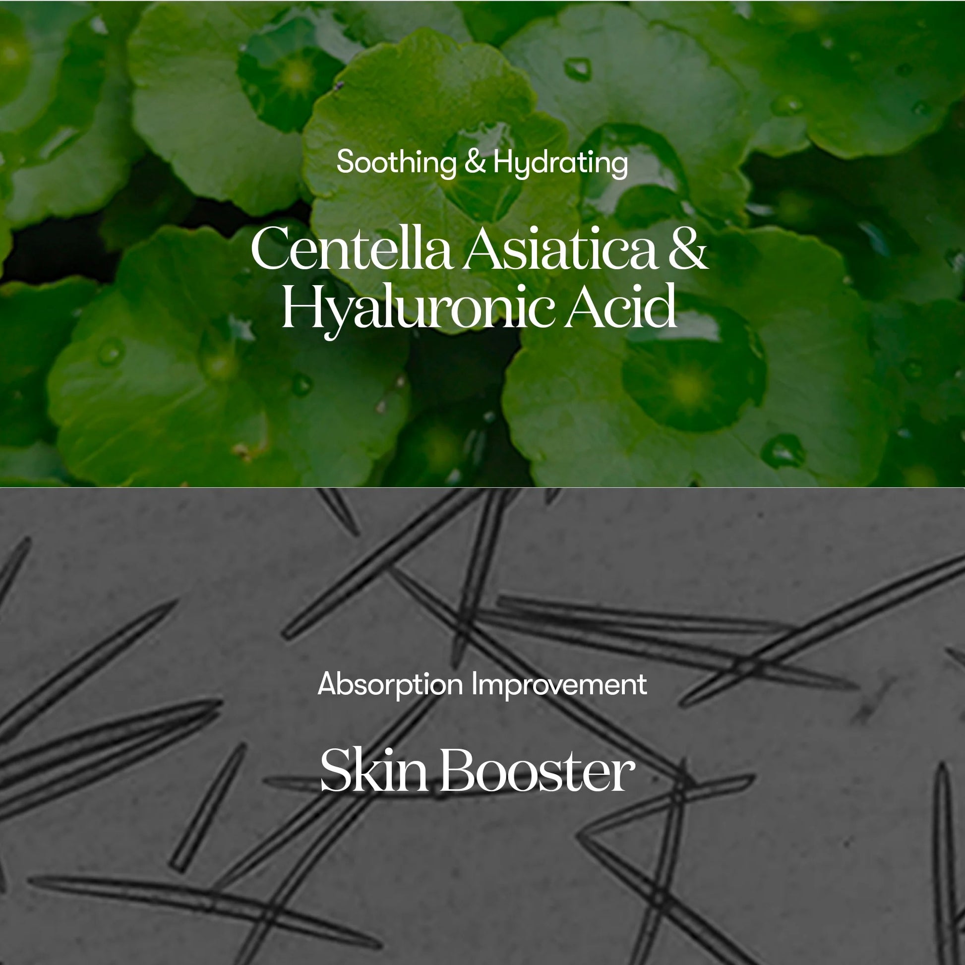Product advertisement with green leaves and text about Centella Asiatica and Hyaluronic Acid for skin booster effects.
