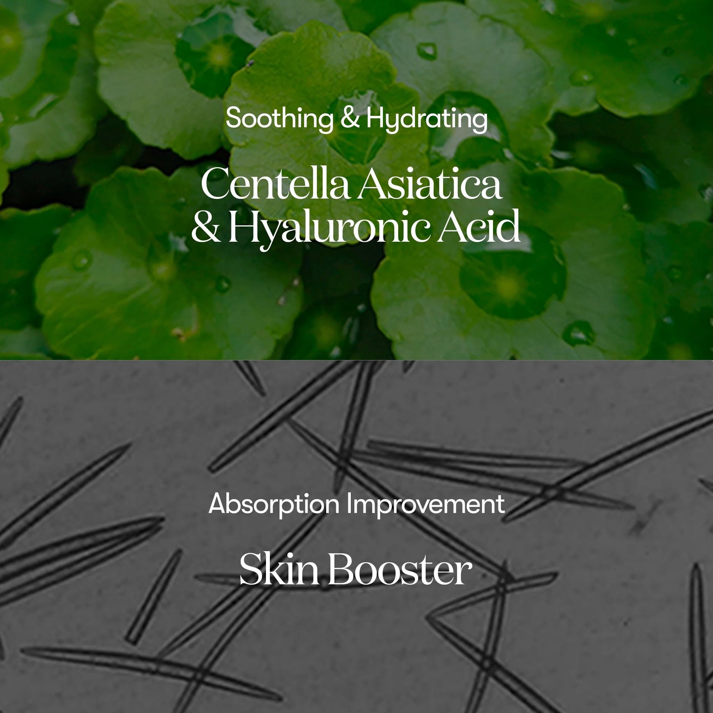 Product advertisement with green leaves and text about soothing, hydrating, and skin booster benefits.